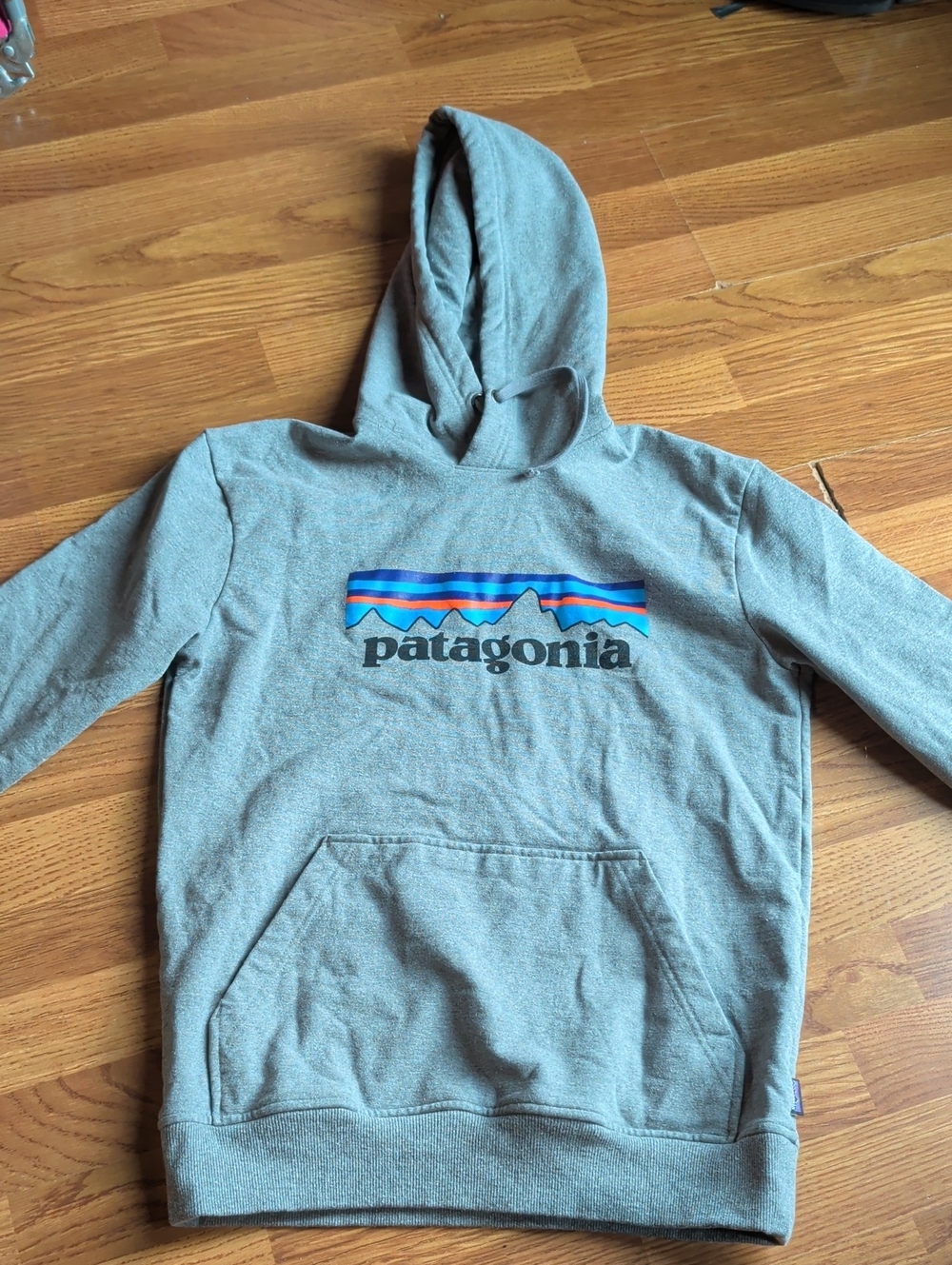 Patagonia Gray Crewneck Hoodie with Multicolor Logo